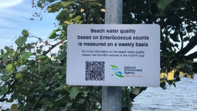环境局建议两海滩不适游泳 导致水质评级下滑细菌是什么？