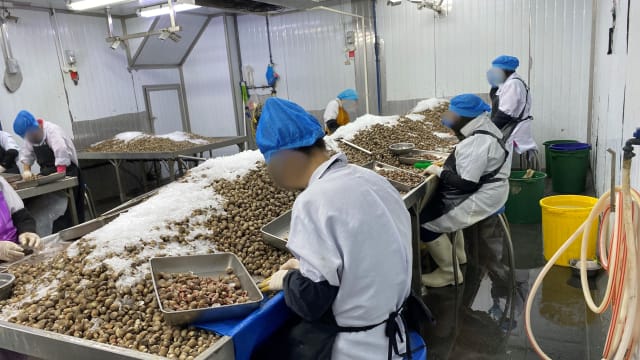 兀兰工业单位涉非法用作鲜蛤处理工厂和储存等 被令马上停止