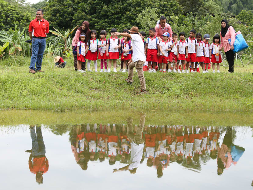 Pre-school children from PCF Sparkletots Sengkang are seen during a field trip at the Bee Amazed Garden in Yishun, Nov 5, 2018.