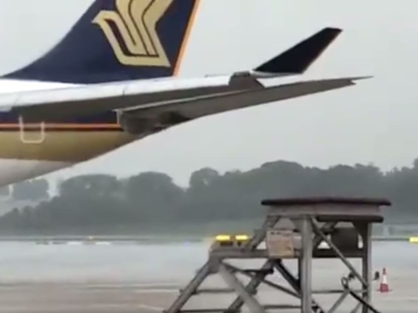 The “invasion” by the otters was captured on video which has been shared widely on social media. Changi Airport activated its Airside Safety team after its surveillance system detected the animals on its premises. Photo: TODAY reader