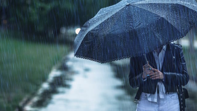 本地下来两周 多数日子将出现局部性短暂雷阵雨