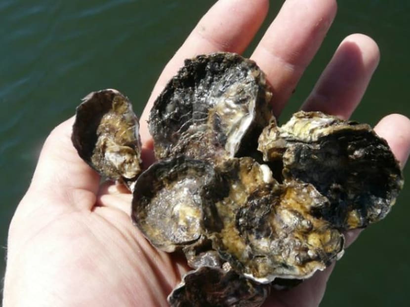 Commentary: The ocean is changing – it's getting more acidic Commentary: The ocean is changing – it's getting more acidic