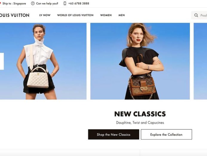 Louis Vuitton Handbag Advertisements Banned