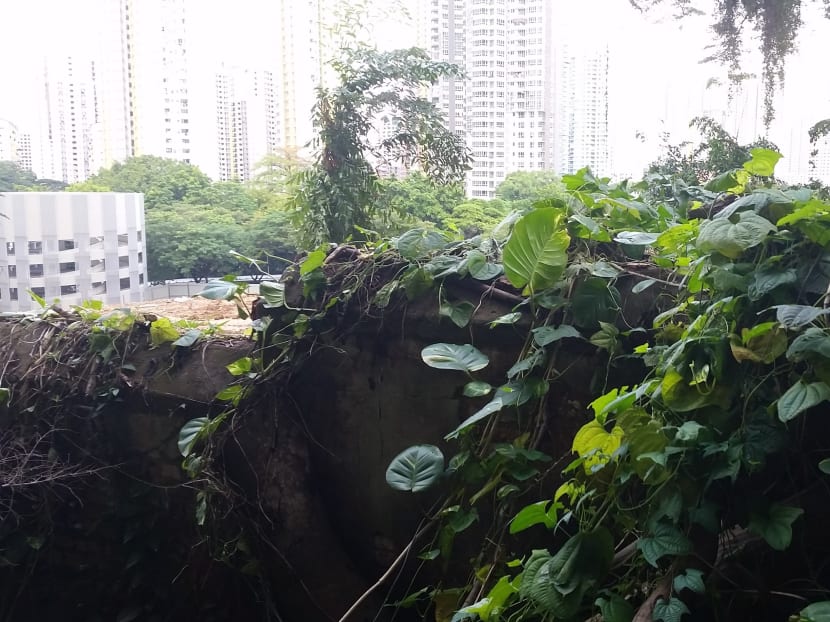 Gallery: Perimeter wall of one of Singapore’s oldest psychiatric hospitals discovered: NHB