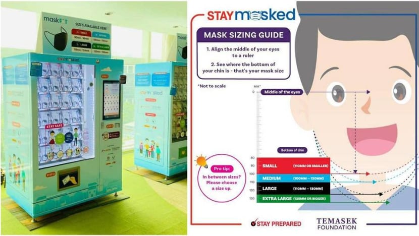 COVID-19: Every Singapore resident to get free pair of reusable masks from Nov 30 COVID-19: Every Singapore resident to get free pair of reusable masks from Nov 30