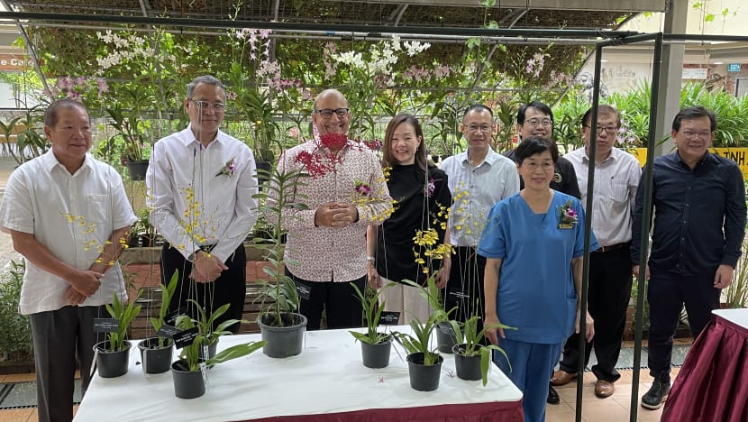 Darul Syifaa lancar projek kebun bunga anggerik; bersiap hadapi kadar penduduk menua yang meningkat