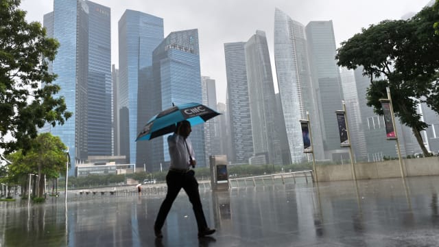 本地下两周将更潮湿多雨