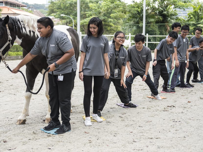 A Secondary 2 class at Spectra Secondary learn how to work as a team to lead Kary, a 10-year old Gelding breed horse, during an equine-assisted learning class at Equal-Ark. Taken on September 27, 2017. Photo: Nuria Ling/TODAY