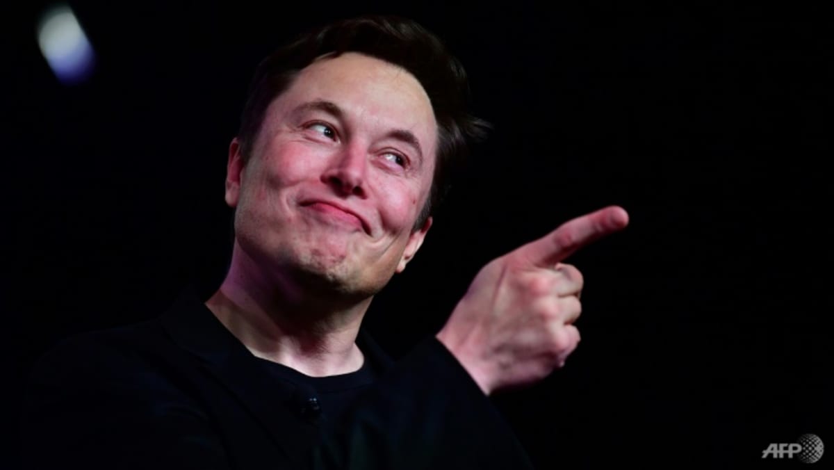 Tesla’s Elon Musk says China rivals ‘work hardest, smartest’