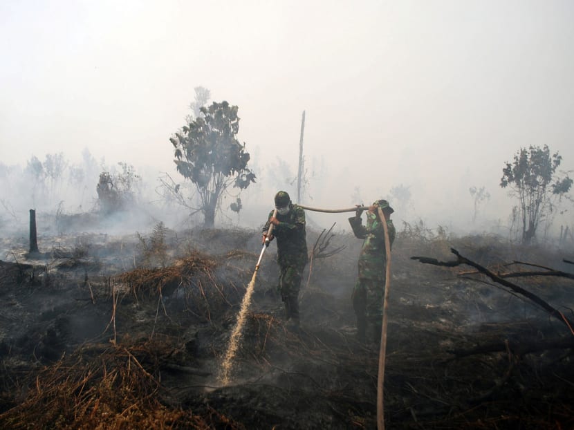 Indonesian soldiers fighting a fire in Sumatra last year. Crops that grow in wet peatlands may help with the problem. Photo: Reuters
