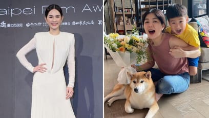 Ella Chen’s 4-Year-Old Son Walked In On Her Changing Her Sanitary Pad & This Is How She Reacted