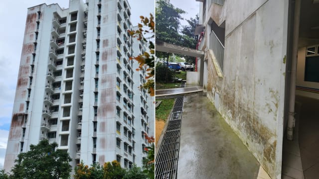 盛港五年组屋霉迹斑斑“像鬼屋” 林志蔚：已着手处理