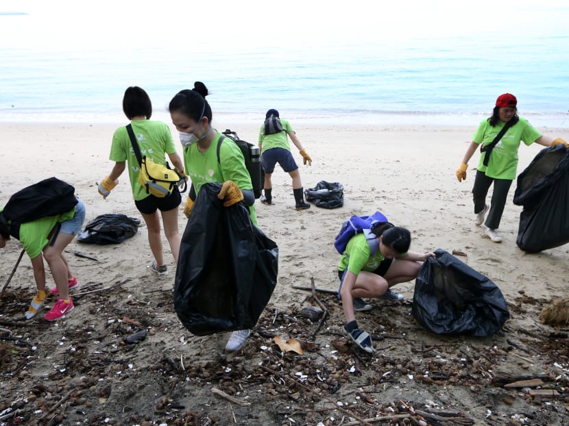 In a Mediacorp survey, 88 per cent of respondents aged 18 and 24 “agreed” or “strongly agreed” that they will do their part for the environment, which is a slightly lower proportion than those in other age groups.