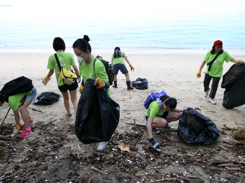 9 in 10 S'pore millennials willing to do their part for the environment, but want Govt to do more: Survey 9 in 10 S'pore millennials willing to do their part for the environment, but want Govt to do more: Survey