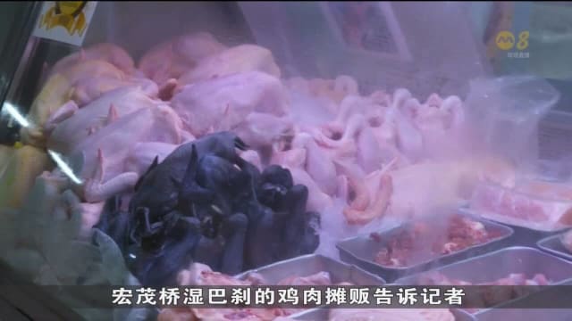 马国全面解除活鸡出口禁令 我国对马国鲜鸡需求减少