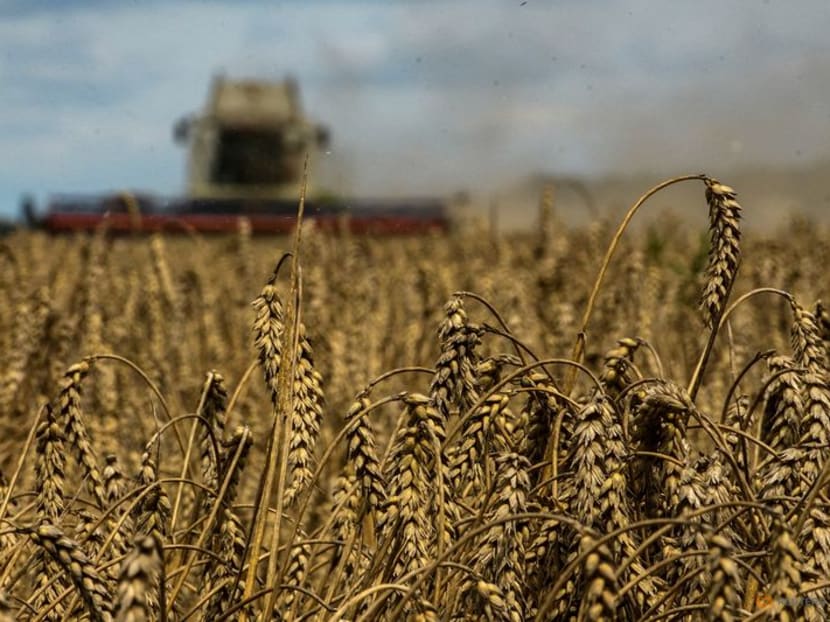 FILE PHOTO: A combine harvests wheat in a field near the village of Zghurivka, amid Russia's attack on Ukraine, in Kyiv region, Ukraine August 9, 2022.  REUTERS/Viacheslav Musiienko/File Photo