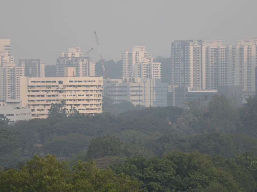 The haze in Singapore at about 5pm on Sept 17.
