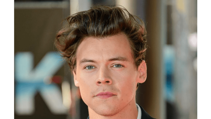 Harry Styles calls for equality Harry Styles calls for equality