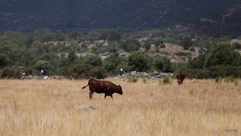 Why some heatwaves prove deadlier than others Why some heatwaves prove deadlier than others