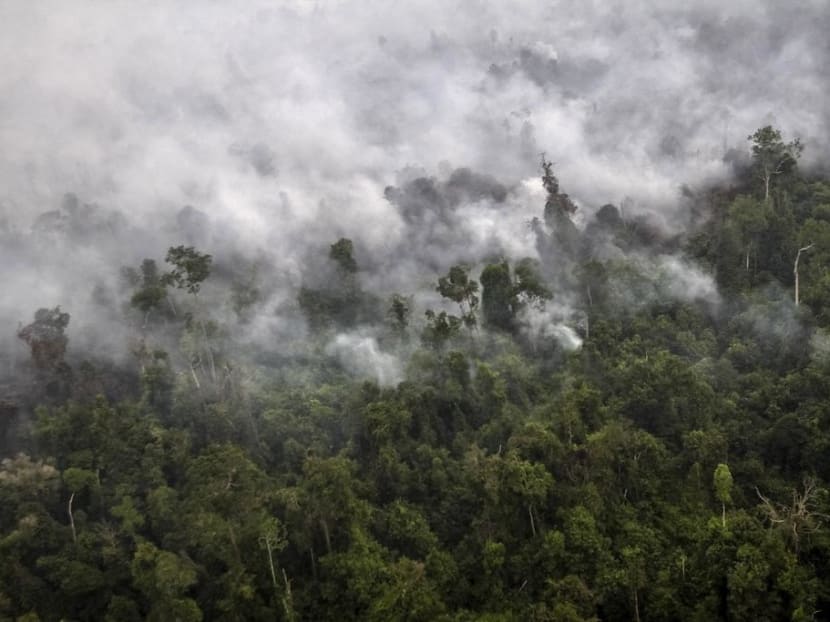 A forest fire is seen from a helicopter operated by the Indonesian National Agency for Disaster Management.