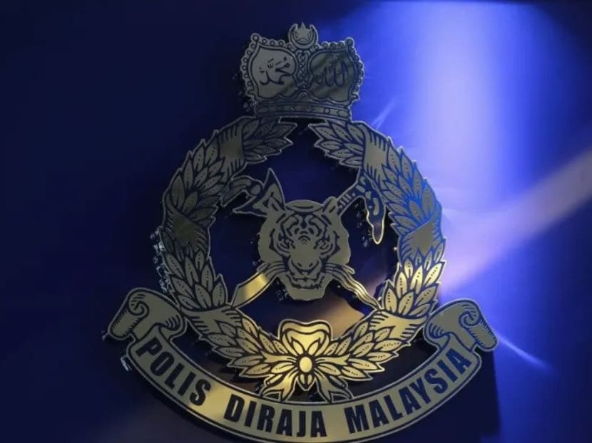 Further checks by the Malaysian police revealed that the male suspect had a record of past criminal offences.