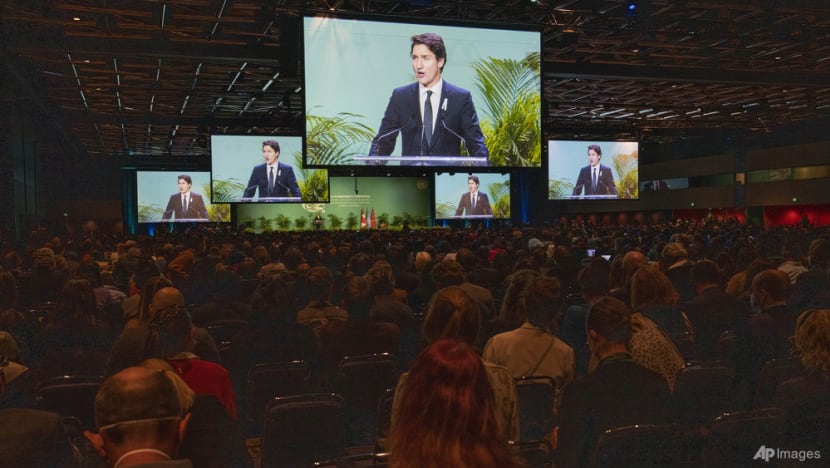 Protecting wildlife and ecosystems: Countries seek to reach agreement at biodiversity conference COP15 Protecting wildlife and ecosystems: Countries seek to reach agreement at biodiversity conference COP15