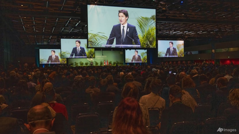 Protecting wildlife and ecosystems: Countries seek to reach agreement at biodiversity conference COP15