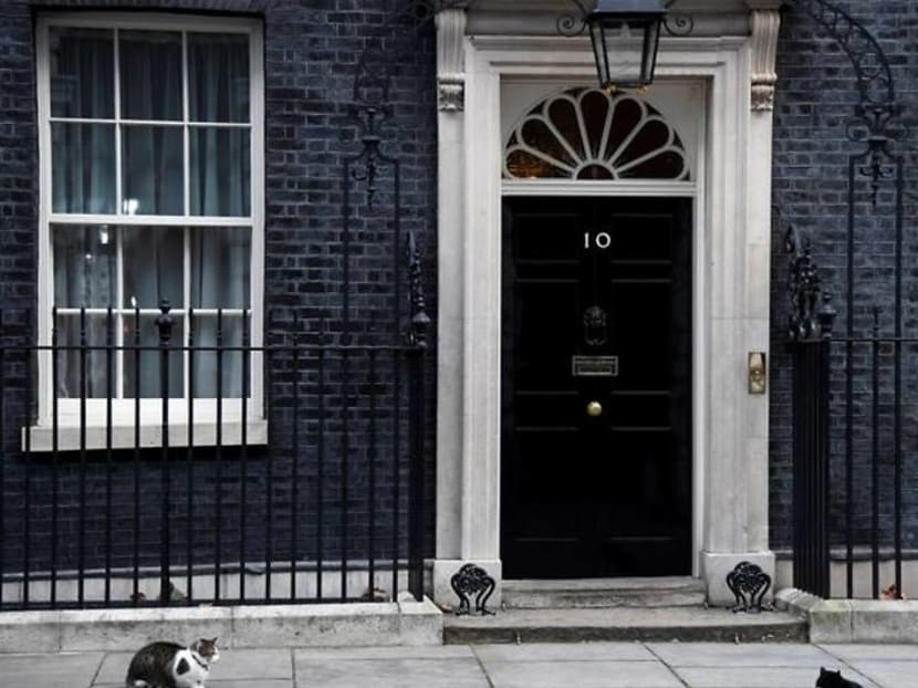 British Foreign Office cat heads for retirement, mouse-catching duties for diplomats come to an end British Foreign Office cat heads for retirement, mouse-catching duties for diplomats come to an end