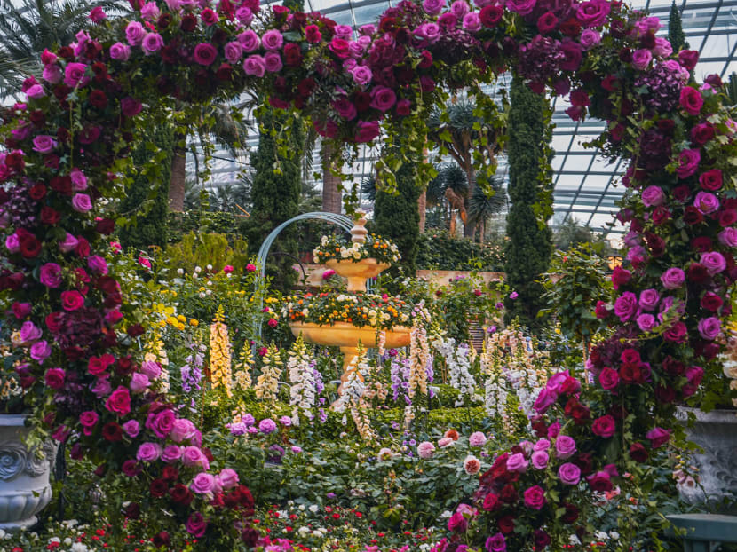 Photo: Gardens by the Bay Photo: Gardens by the Bay