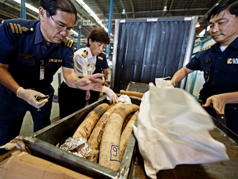 ‘Do more to intercept illegal ivory shipments’