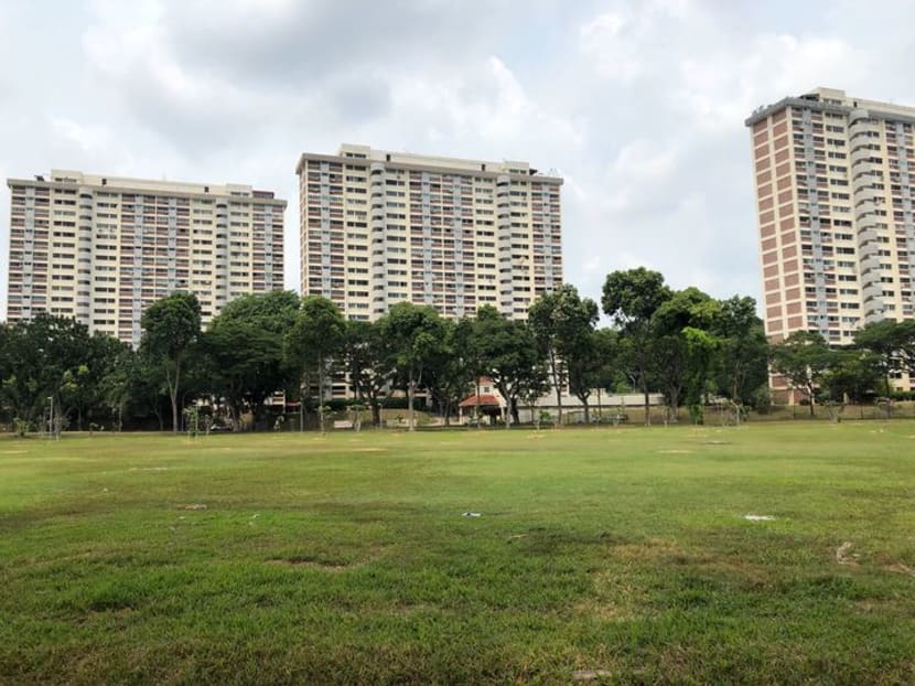 The private-housing development Lakeview Estate along Upper Thomson Road. The land in the foreground would be used for a worksite if the Government decides on the Cross Island Line route that skirts around the Central Catchment Nature Reserve.