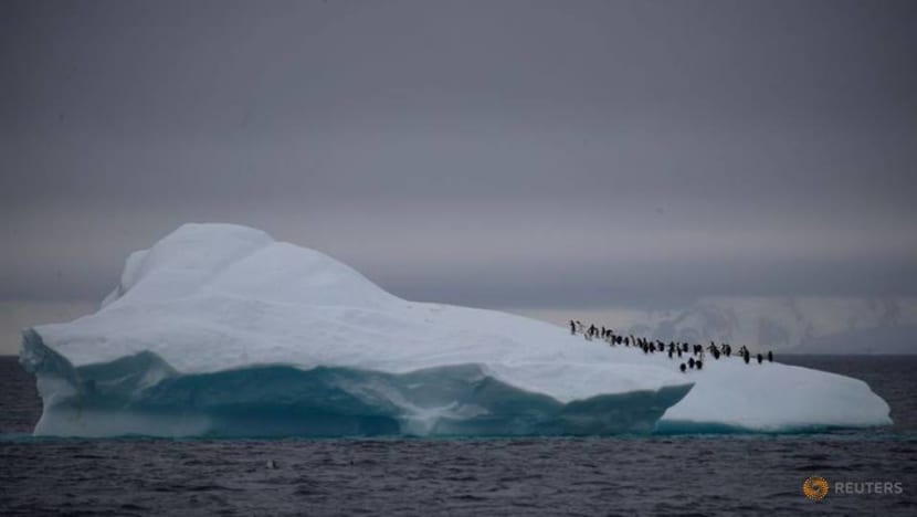 Antarctica rocked by 30,000 tremors in three months, Chilean scientists say Antarctica rocked by 30,000 tremors in three months, Chilean scientists say