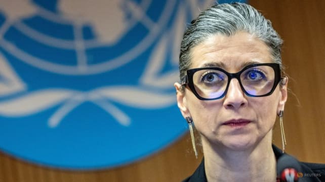 UN expert in Israel genocide accusation says she has been threatened
