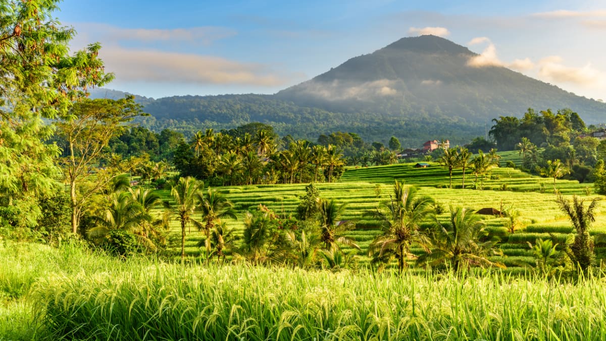 These are the top destinations Singaporeans want to visit this year according to their Google searches - Vimarsana News