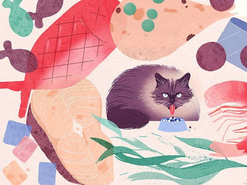 Yes, your pets are probably too fat – and that might take two years off their lives Yes, your pets are probably too fat – and that might take two years off their lives