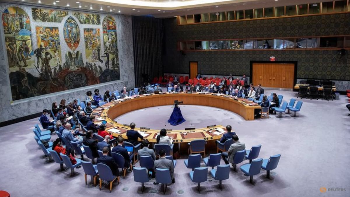 AS dan sekutunya mengecam Rusia karena menyia-nyiakan waktu Dewan Keamanan PBB