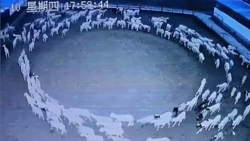 Gambar Pilihan Hari Ini Gambar Pilihan Hari Ini