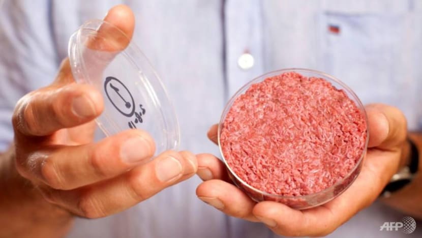 Commentary: Lab meat sceptics, please just get out of the way 