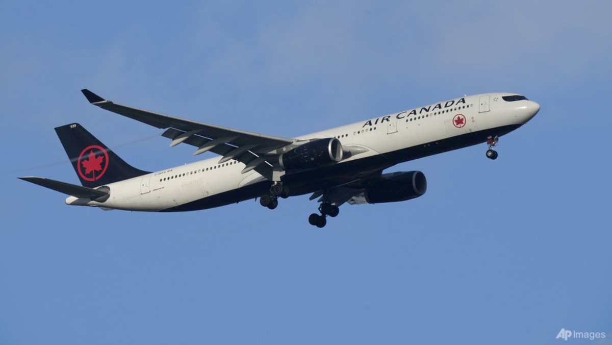 Air Canada apologises for booting passengers who complained that their seats were smeared with vomit