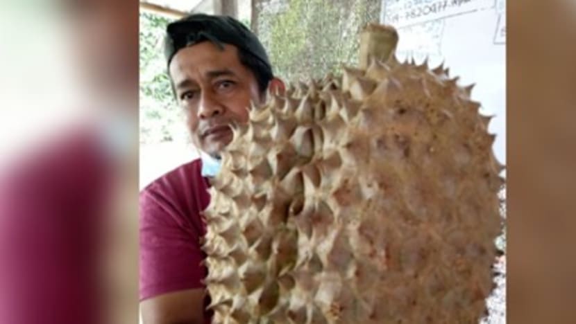 Durian gergasi ini seberat 12kg; ada yang sanggup bayar RM200