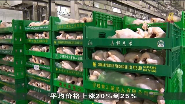 首批马国活鸡明抵本地 进口商：价格料涨30%