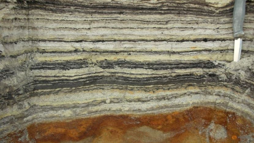 Oldest DNA on record - 2 million years - reveals Greenland's lost world Oldest DNA on record - 2 million years - reveals Greenland's lost world