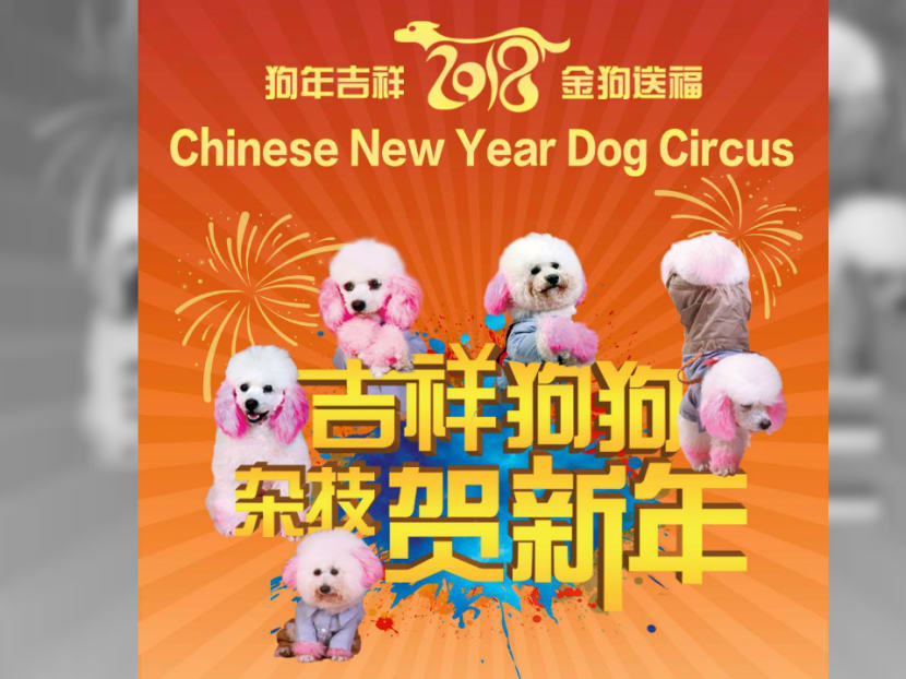 The show, which was branded as the "Chinese New Year Dog Circus 2018", was scheduled to take place at Resorts World Sentosa in February 2018 to welcome the Chinese Lunar New Year. Photo: Sistic via Facebook