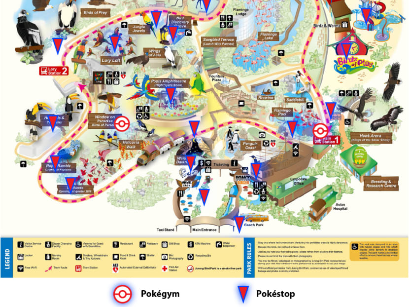 Bird Park Singapore Map 8 Pokémon Gyms And 78 Pokéstops At 4 S'pore Wildlife Parks - Today