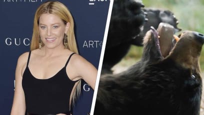 Elizabeth Banks Battles Hollywood Sexism By Directing "Muscular And Masculine" Horror-Comedy Cocaine Bear