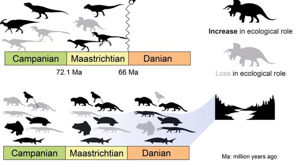 Studi menunjukkan dinosaurus ‘dihancurkan pada masa jayanya’ oleh asteroid