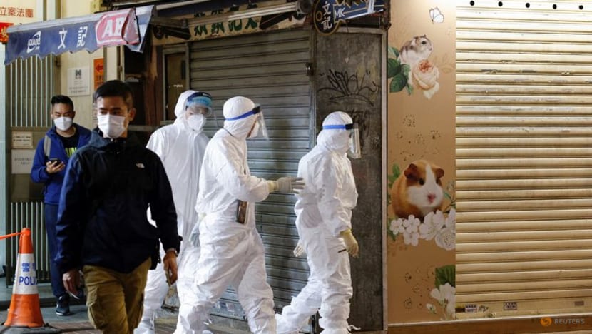 Hong Kong's COVID-19 hamster cull sparks fear of owners abandoning pets Hong Kong's COVID-19 hamster cull sparks fear of owners abandoning pets
