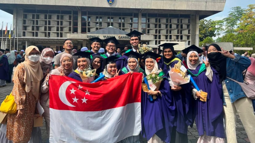 Anak Singa Keracak Tinggi Di Bumi Rimau Anak Singa Keracak Tinggi Di Bumi Rimau