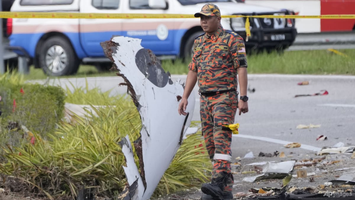 ‘I love you mama’: Pilot’s last words to his mother in Malaysia plane crash