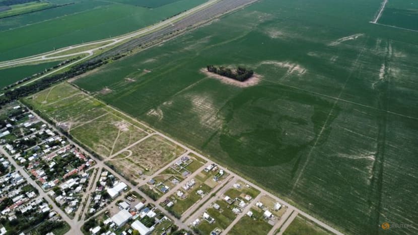 Argentine corn field planted with face of World Cup winner Messi Argentine corn field planted with face of World Cup winner Messi